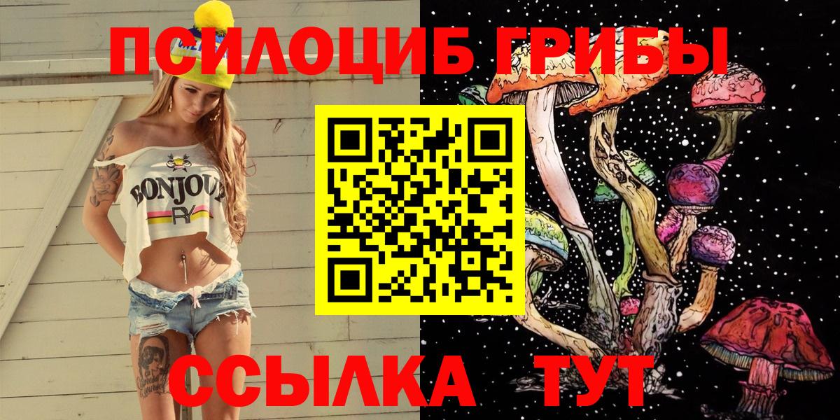 Псилоцибиновые грибы прущие грибы  Галлюциногенные грибы Cubensis  Вход с VPN  как найти закладки  Татарск 